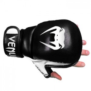 Venum MMA Gloves Review: Poisoning the competition